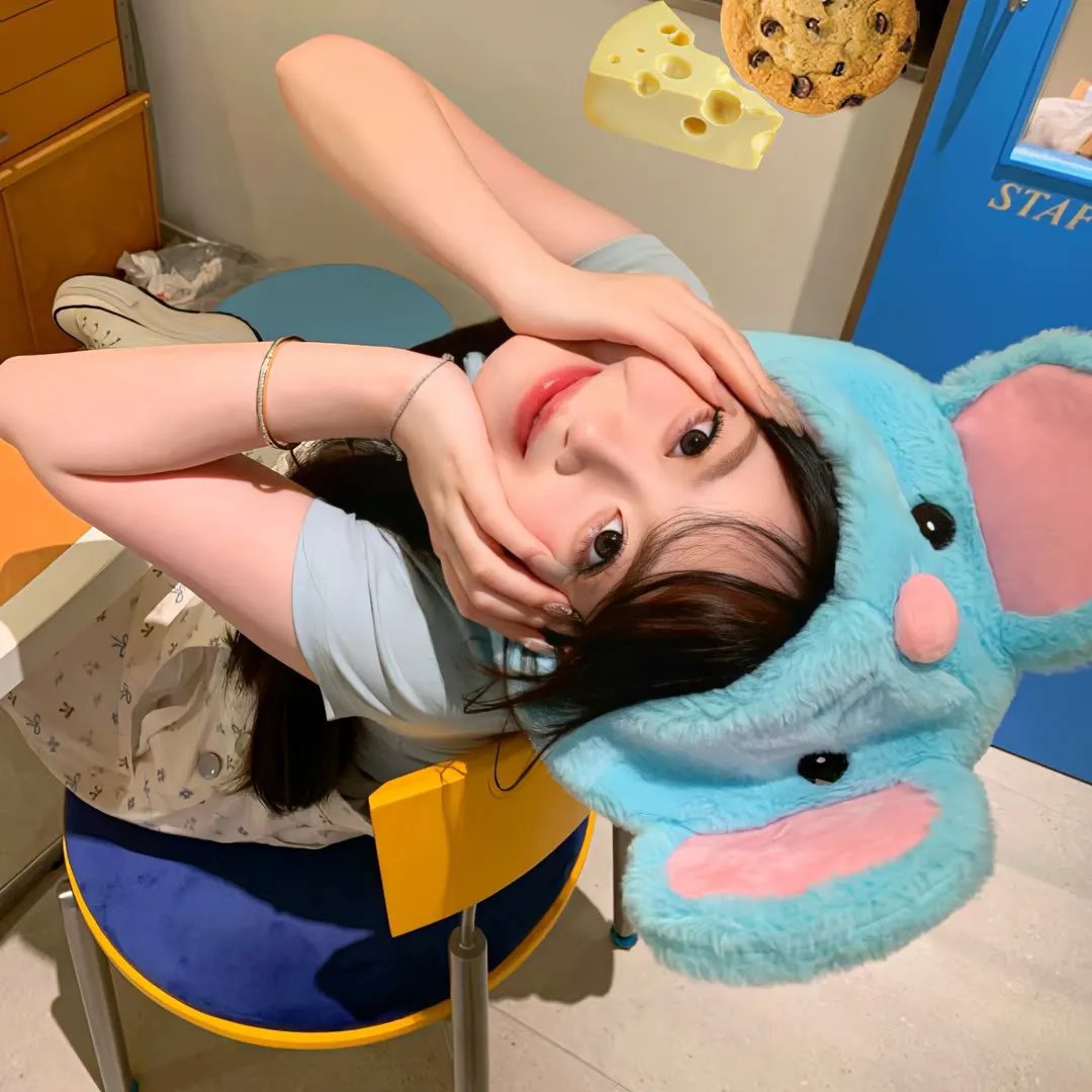 极品老妈第八季封面