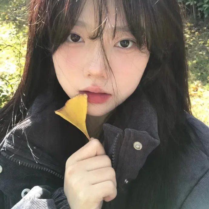 云上的云封面