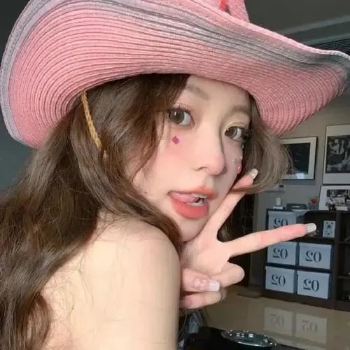 红粉女海盗封面