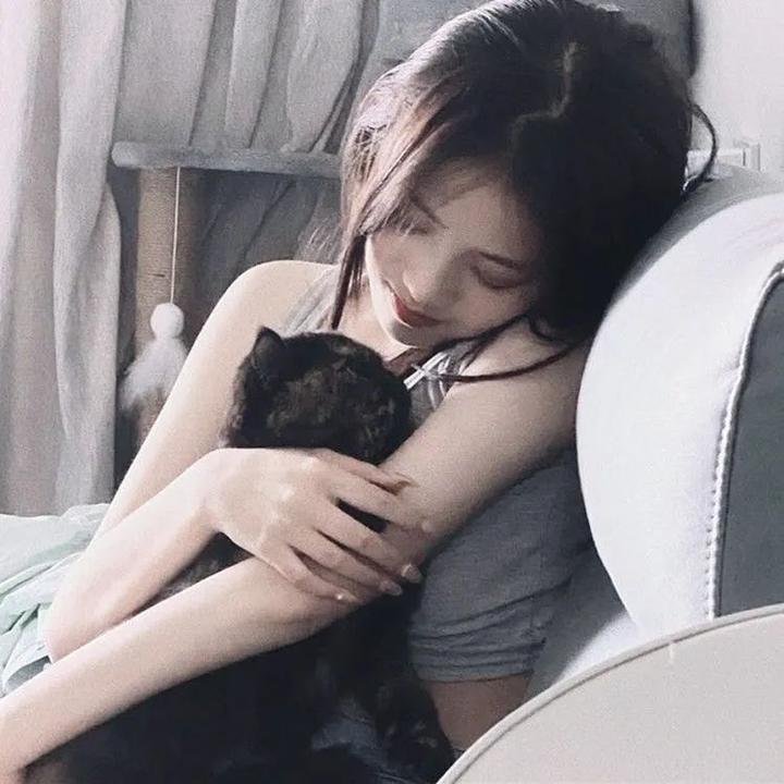 彩虹失窃事件封面